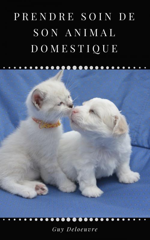 Cover of the book Prendre soin de son animal domestique by Guy Deloeuvre, Guy Deloeuvre