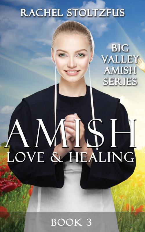 Cover of the book Amish Love and Healing by Rachel Stoltzfus, Global Grafx Press