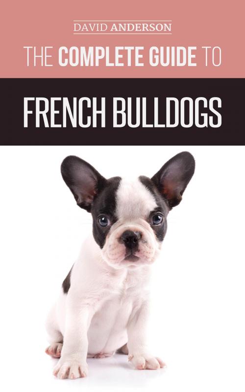 Cover of the book The Complete Guide to French Bulldogs by David Anderson, LP Media