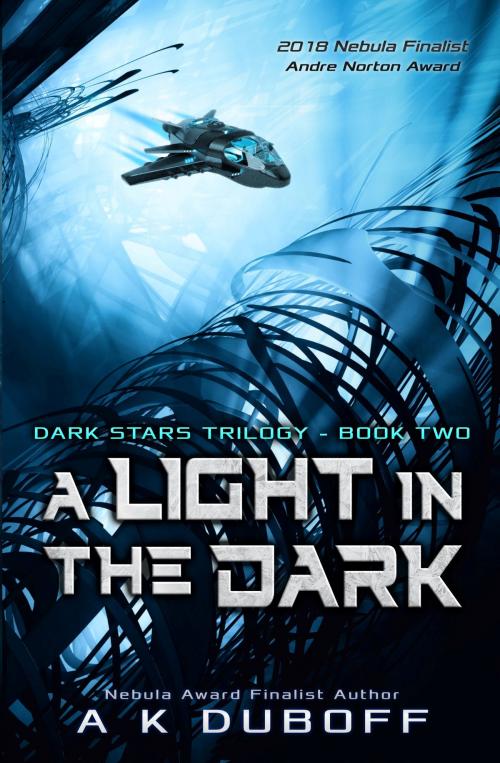 Cover of the book A Light in the Dark by A.K. DuBoff, BDL Press