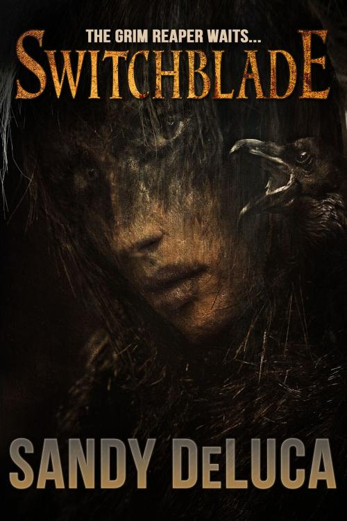 Cover of the book Switchblade by Sandy DeLuca, Crossroad Press