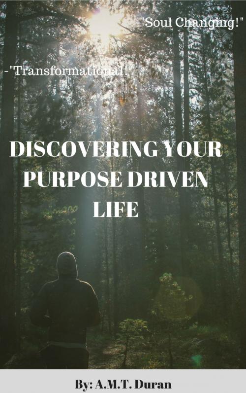 Cover of the book Discovering Your Purspose Driven Life by A.M. Tensley, A.M. Tensley Publishing-Empire