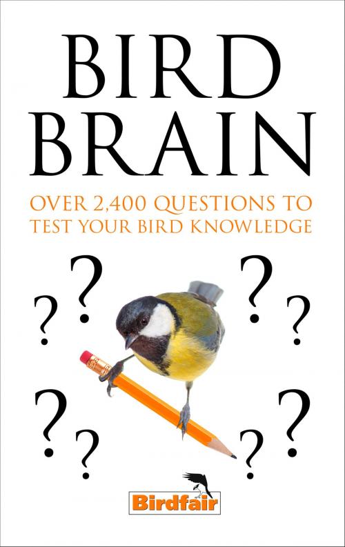 Cover of the book Bird Brain: Over 2,400 Questions to Test Your Bird Knowledge by William Collins, HarperCollins Publishers