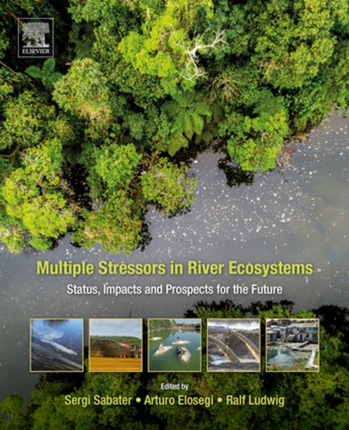 Cover of the book Multiple Stressors in River Ecosystems by , Elsevier Science