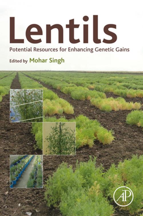 Cover of the book Lentils by , Elsevier Science