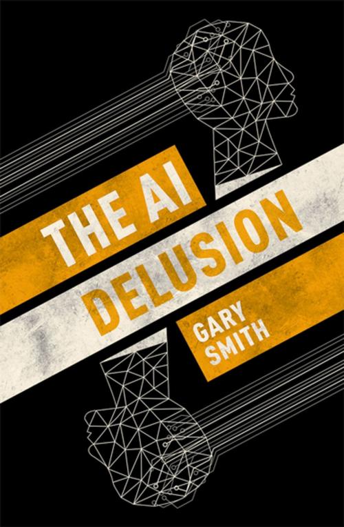 Cover of the book The AI Delusion by Gary Smith, OUP Oxford