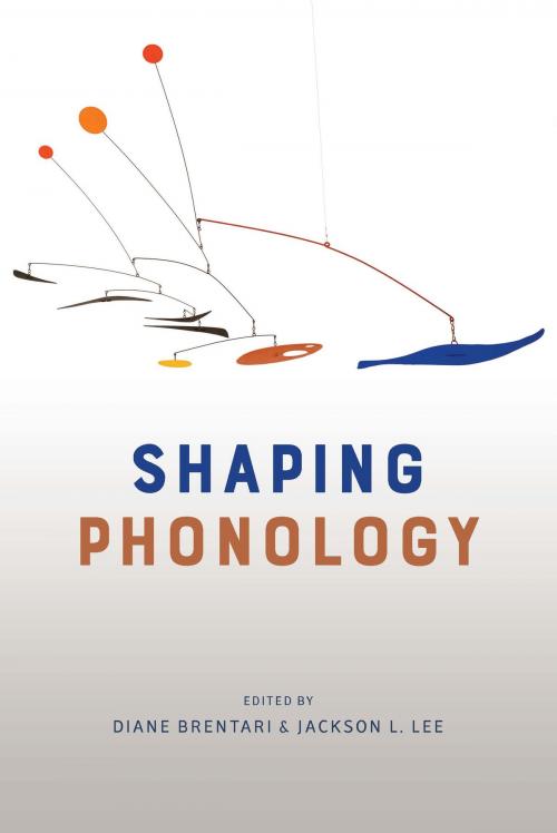 Cover of the book Shaping Phonology by , University of Chicago Press