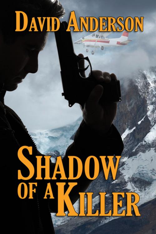 Cover of the book Shadow of a Killer by David Anderson, BWL Publishing Inc.