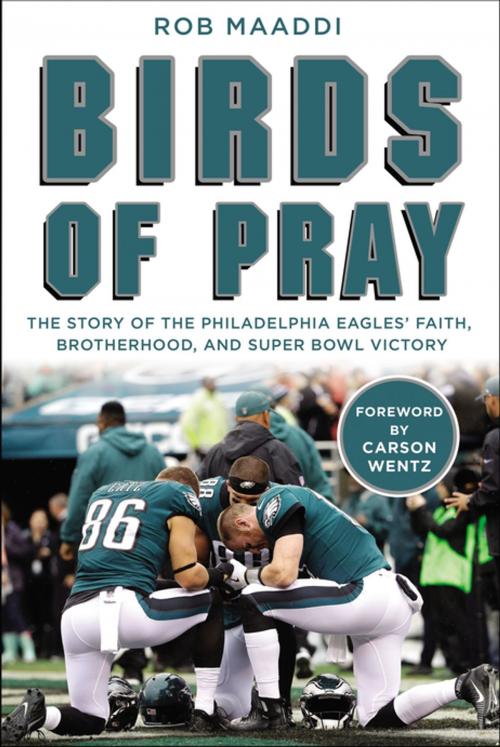 Cover of the book Birds of Pray by Rob Maaddi, Zondervan