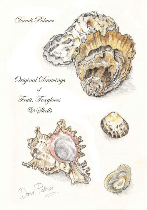 Cover of the book Original Drawings of Fruit, Foxgloves and Shells by Dandi Palmer, Dodo Books