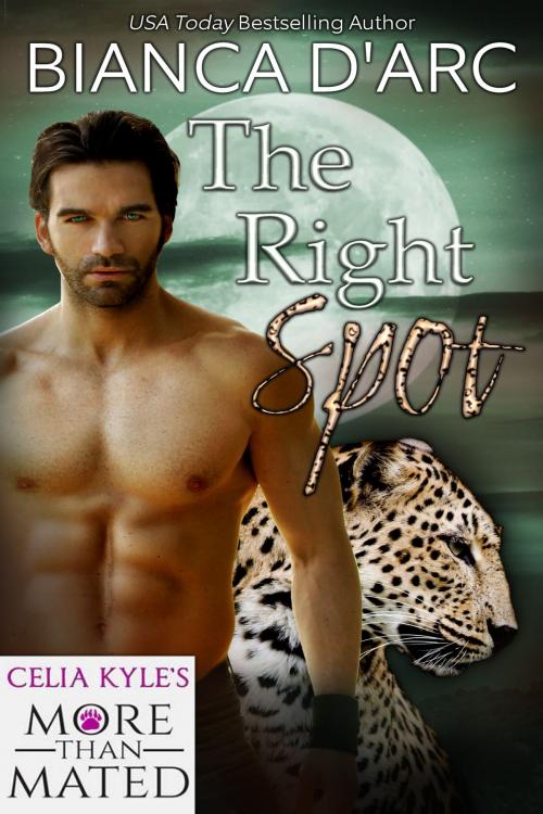 Cover of the book The Right Spot by Bianca D'Arc, Hawk Publishing, LLC
