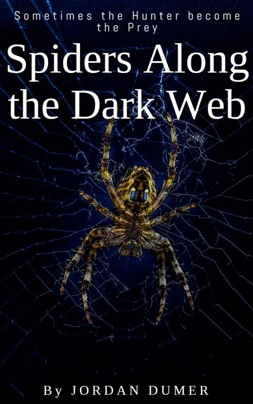 Cover of the book The Spiders Dark Web by Jordan Dumer, Jordan Dumer