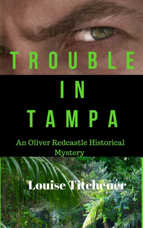 Cover of the book Trouble in Tampa by Louise Titchener, Louise Titchener