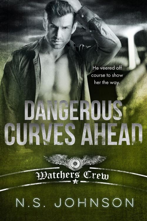 Cover of the book Dangerous Curves Ahead by N.S. Johnson, N.S. Johnson