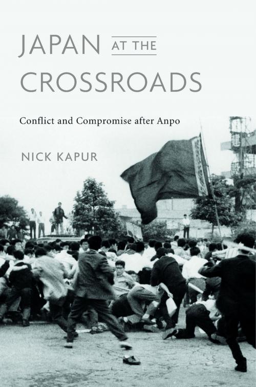 Cover of the book Japan at the Crossroads by Nick Kapur, Harvard University Press