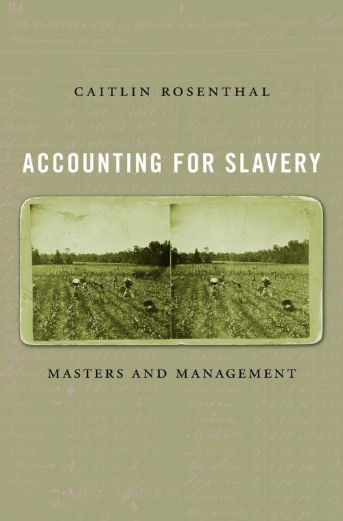 Cover of the book Accounting for Slavery by Caitlin Rosenthal, Harvard University Press