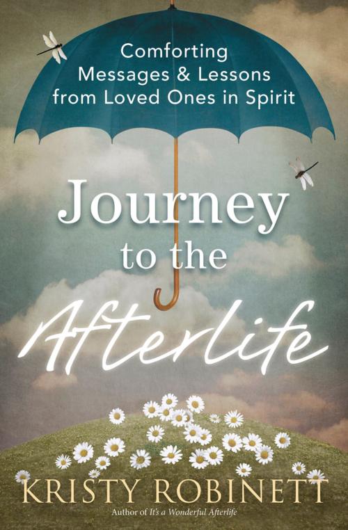 Cover of the book Journey to the Afterlife by Kristy Robinett, Llewellyn Worldwide, LTD.