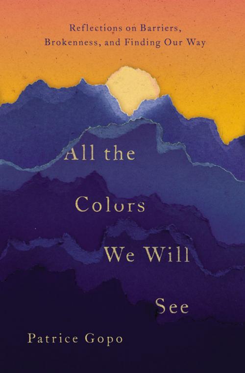 Cover of the book All the Colors We Will See by Patrice Gopo, Thomas Nelson