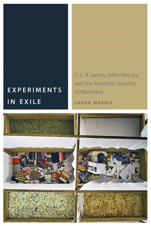 Cover of the book Experiments in Exile by Laura Harris, Fordham University Press
