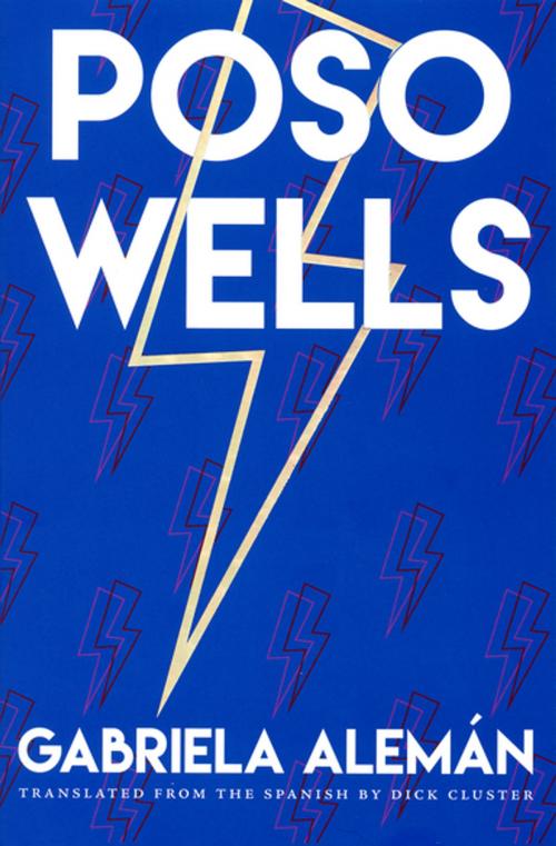 Cover of the book Poso Wells by Gabriela Alemán, City Lights Publishers