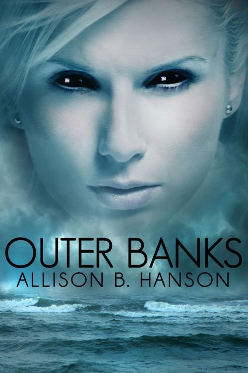 Cover of the book Outer Banks by Allison B. Hanson, Allison B. Hanson