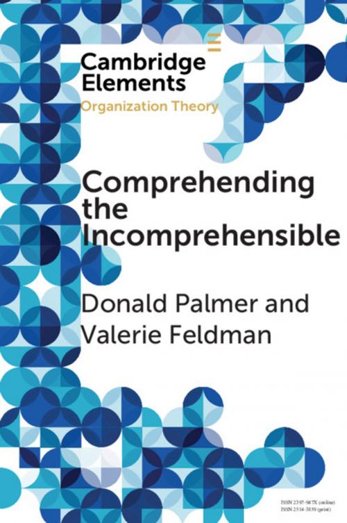 Cover of the book Comprehending the Incomprehensible by Donald Palmer, Valerie Feldman, Cambridge University Press
