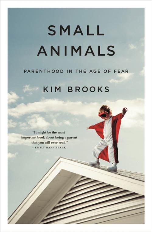 Cover of the book Small Animals by Kim Brooks, Flatiron Books