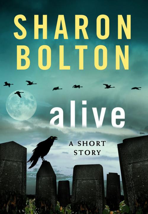 Cover of the book Alive by Sharon Bolton, St. Martin's Publishing Group