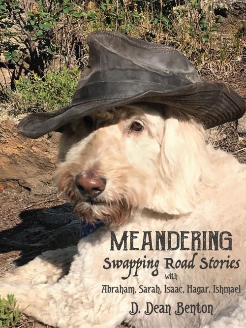 Cover of the book Meanderings: Swapping Road Stories With Abraham, Sarah, Isaac, Hagar, Ishmael by D. Dean Benton, D. Dean Benton