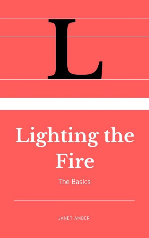 Cover of the book Lighting the Fire: The Basics by Janet Amber, Personal Growth
