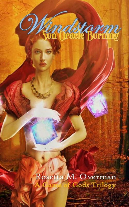 Cover of the book Windstorm: Sun Oracle Burning by Rosetta M. Overman, Rosetta M. Overman