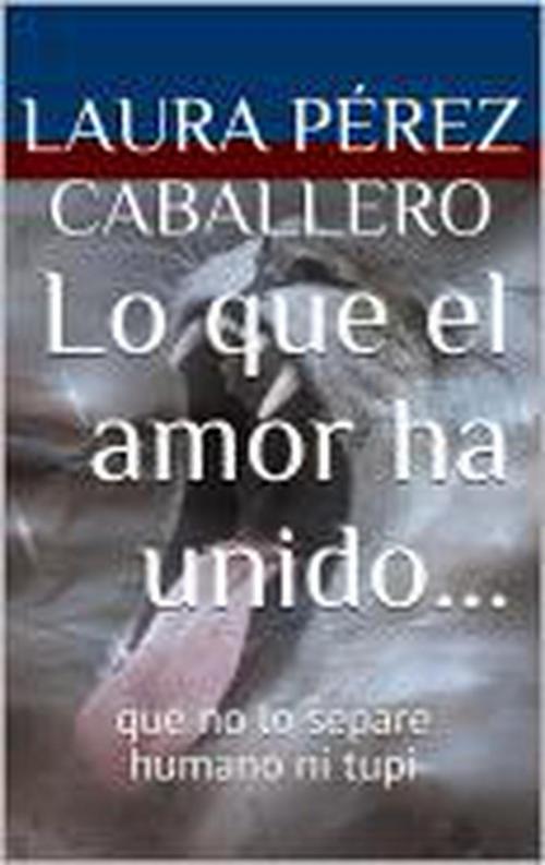Cover of the book Lo que el amor ha unido... by Laura Pérez Caballero, Laura Pérez Caballero