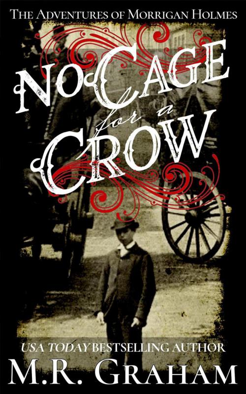 Cover of the book No Cage for a Crow by M.R. Graham, qui est in literis