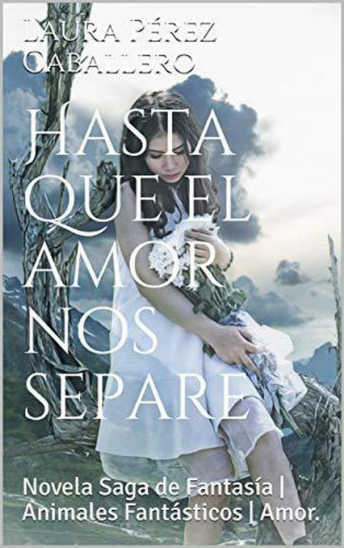 Cover of the book Hasta que el amor nos separe by Laura Pérez Caballero, Laura Pérez Caballero