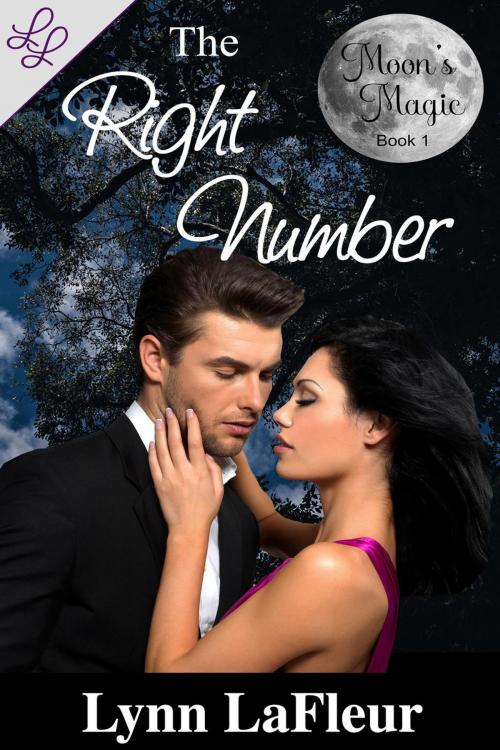 Cover of the book The Right Number by Lynn LaFleur, Lynn LaFleur