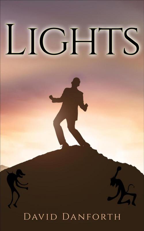 Cover of the book Lights by David Danforth, The Story Inside Press