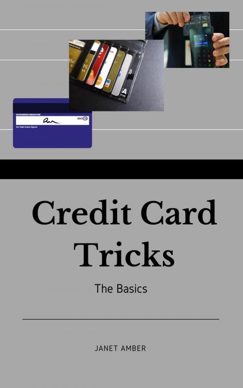 Cover of the book Credit Card Tricks: The Basics by Janet Amber, Personal Growth