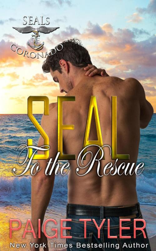 Cover of the book SEAL to the Rescue by Paige Tyler, Paige Tyler