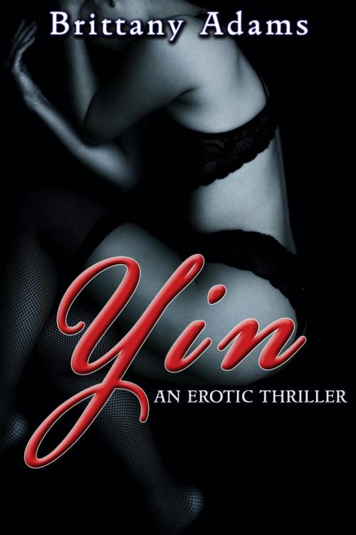 Cover of the book Yin by Brittany Adams, Brittany Adams