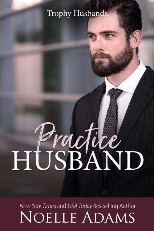 Cover of the book Practice Husband by Noelle Adams, Noelle Adams