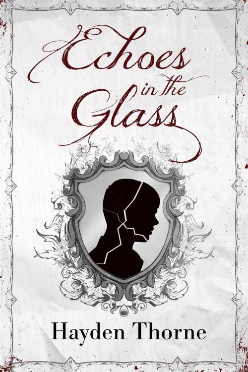 Cover of the book Echoes in the Glass by Hayden Thorne, Hayden Thorne