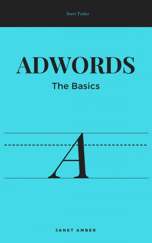 Cover of the book Adwords; The Basics by Janet Amber, Personal Growth
