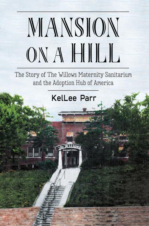 Cover of the book Mansion on a Hill by KelLee Parr, KelLee Parr