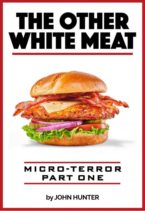Cover of the book The Other White Meat, Micro-Terror, Part One by John Hunter, John Hunter