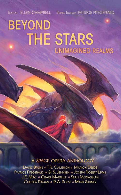 Cover of the book Beyond the Stars: Unimagined Realms by Patrice Fitzgerald, G. S. Jennsen, David Bruns, Craig Martelle, Joseph Robert Lewis, J.E. Mac, TR Cameron, R. A. Rock, Marion Deeds, Chelsea Pagan, Sean Monaghan, Mark Sarney, Astral Books