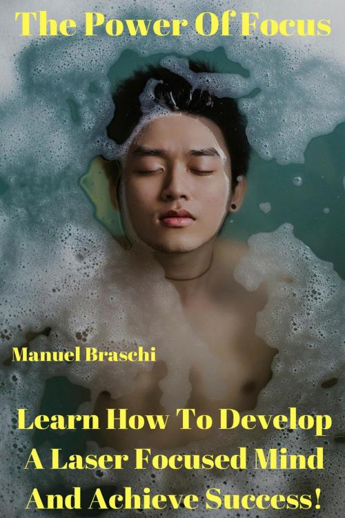 Cover of the book The Power Of Focus by Manuel Braschi, Manuel Braschi