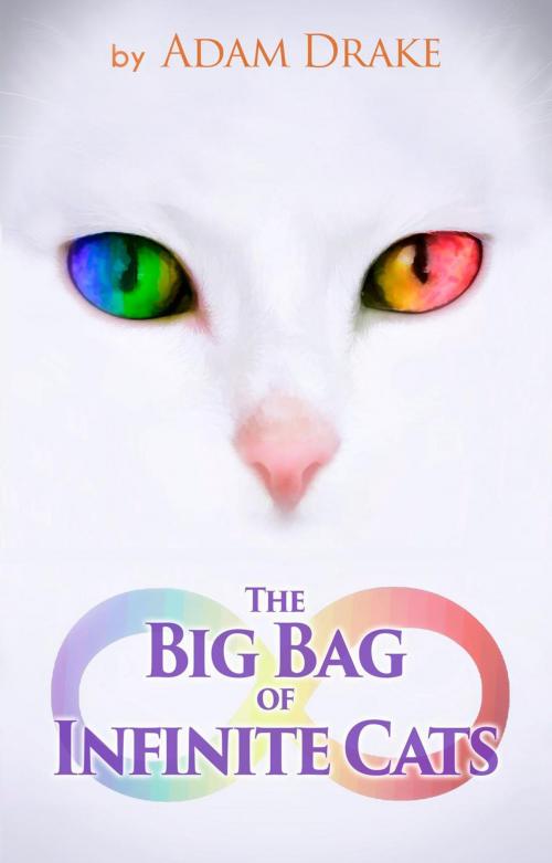 Cover of the book The Big Bag of Infinite Cats by Adam Drake, Adam Drake