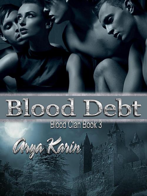 Cover of the book Blood Debt by Arya Karin, Arya Karin