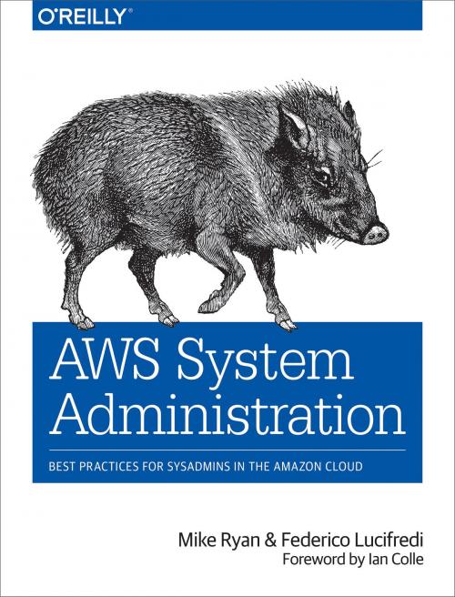 Cover of the book AWS System Administration by Mike Ryan, Federico Lucifredi, O'Reilly Media