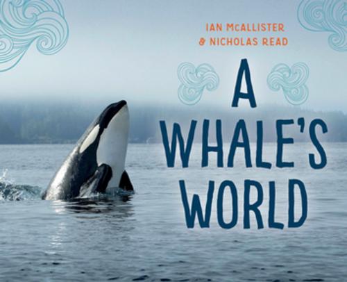 Cover of the book A Whale's World by Ian McAllister, Nicholas Read, Orca Book Publishers